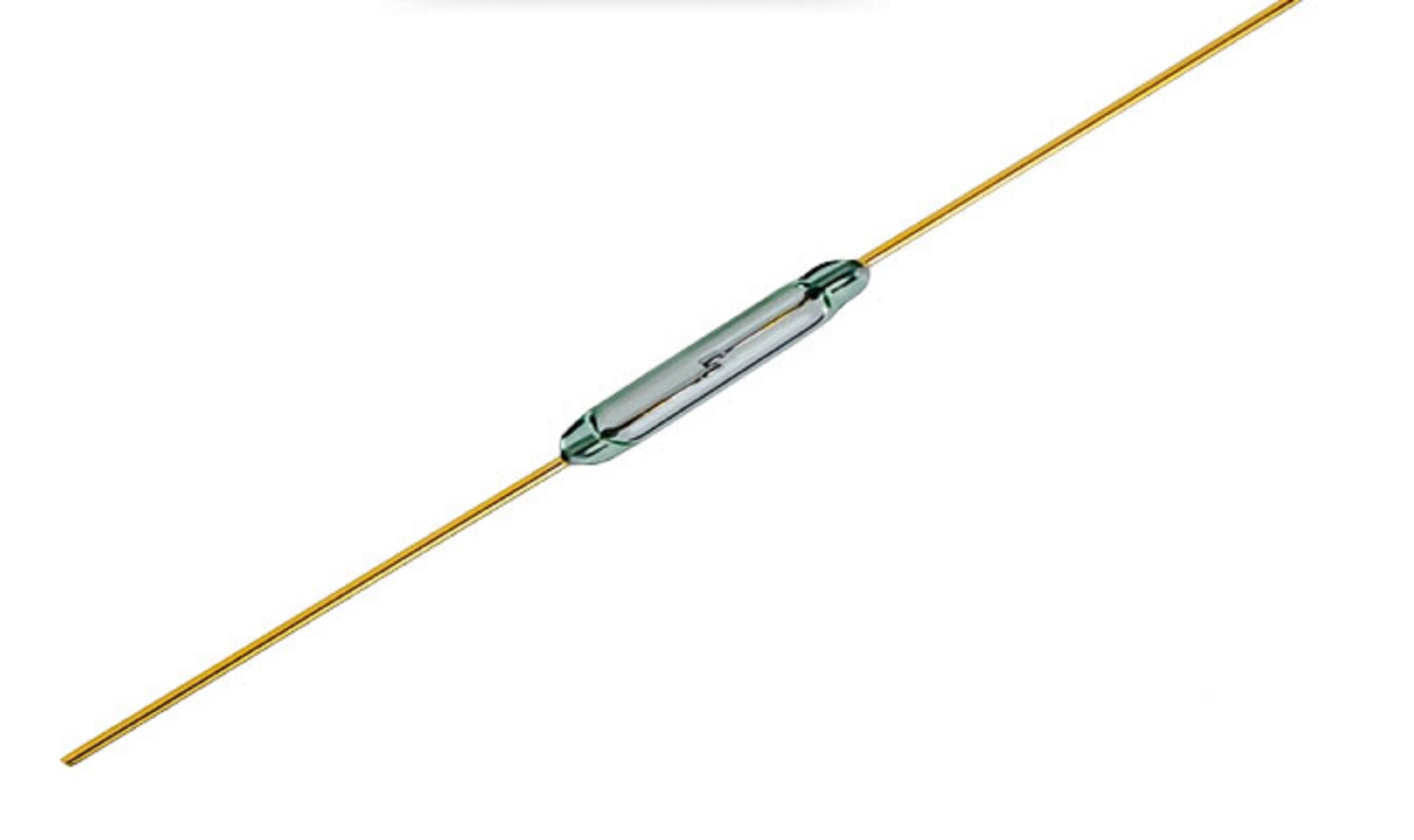 RS-SPG-2.jpg